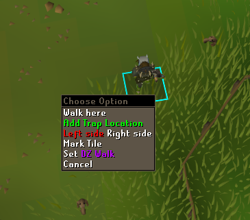 Custom menu entry